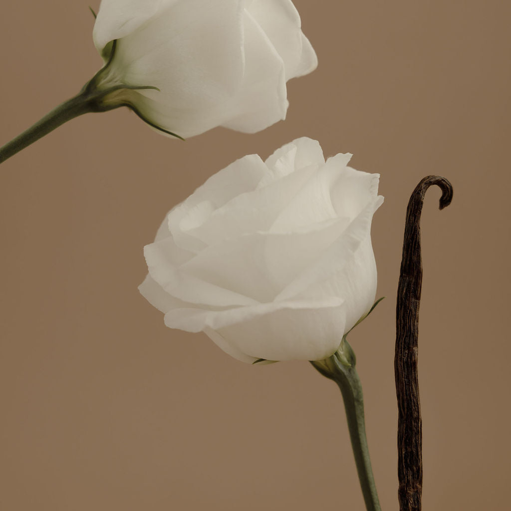 AURA Perfume Orchid + Ash