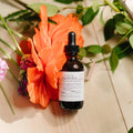 Skip The Shot with Yerba Mate, Tincture Evergreen Apothecary