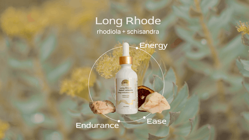 (PRE-ORDER) Long Rhode ⟡ Rhodiola + Schisandra Adaptogen Drops Altar Native
