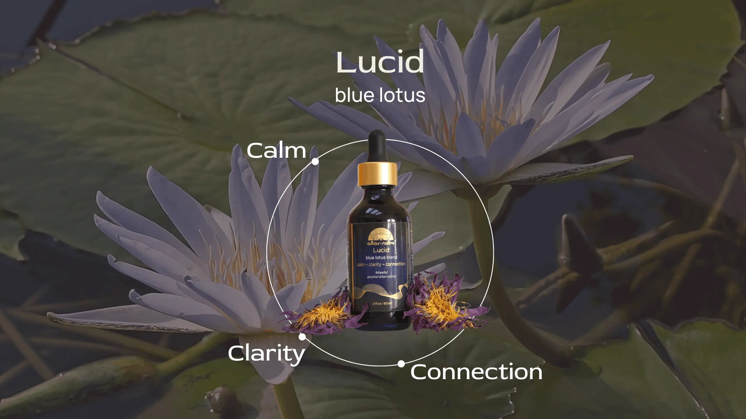 (PRE-ORDER) Lucid ✦ Blue Lotus Drops Altar Native