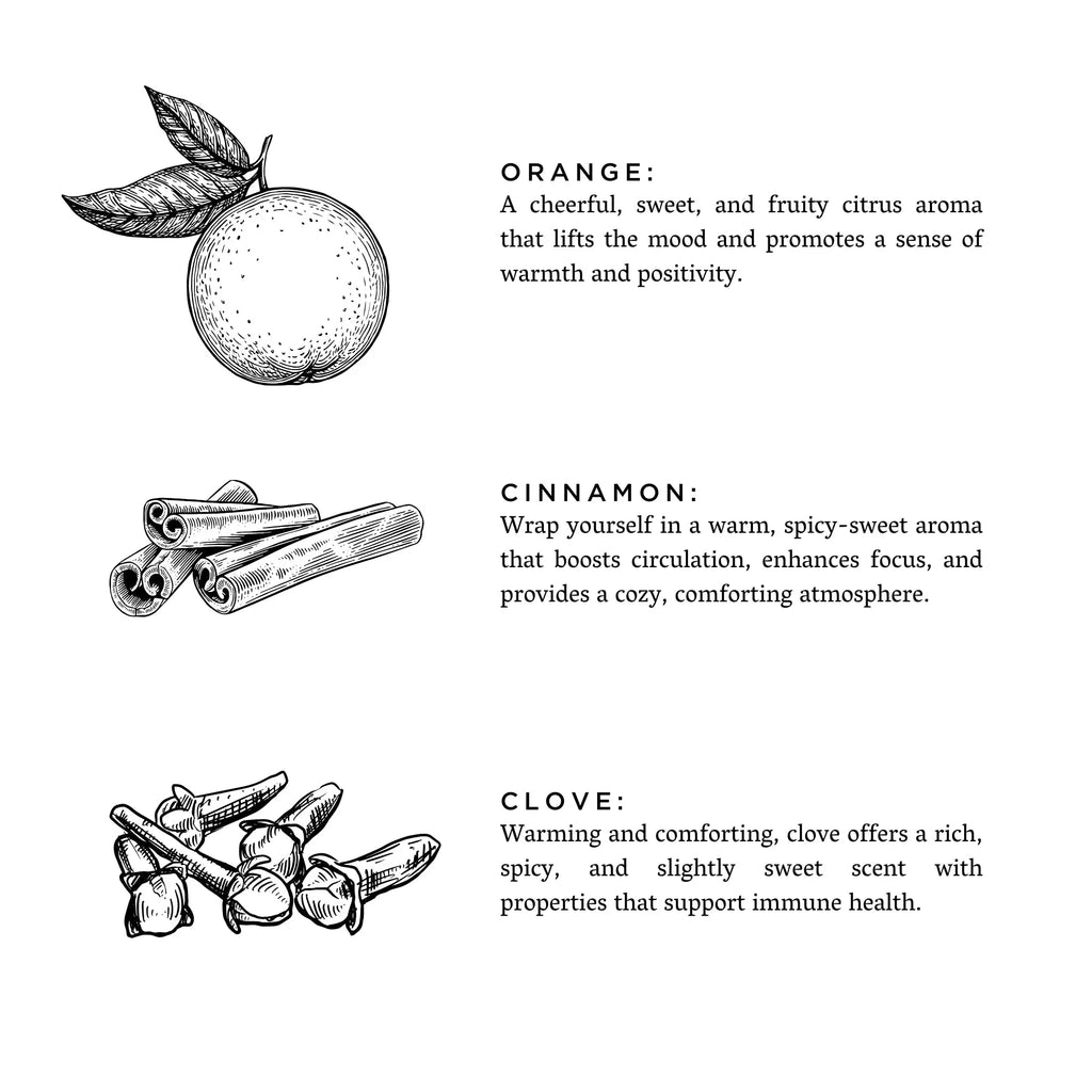 Orange + Clove - Signature 3-Wick Candle Slow North