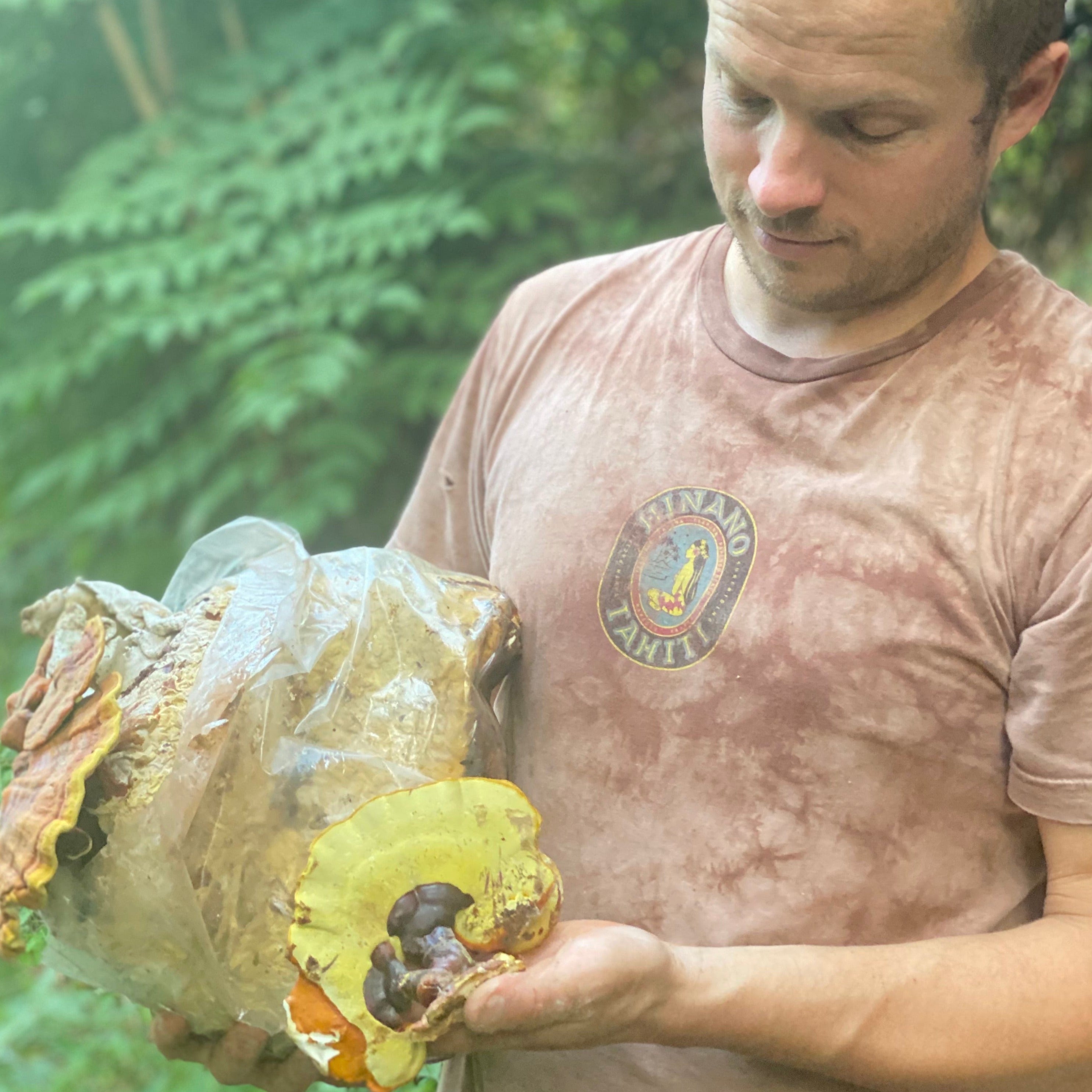 Lion's Mane + Reishi Dual Extract Tincture Hodgins Harvest