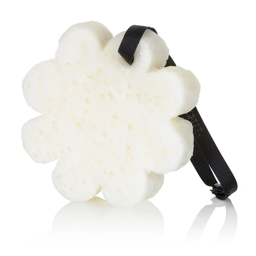 Black Orchid | Boxed Flower Spongellé