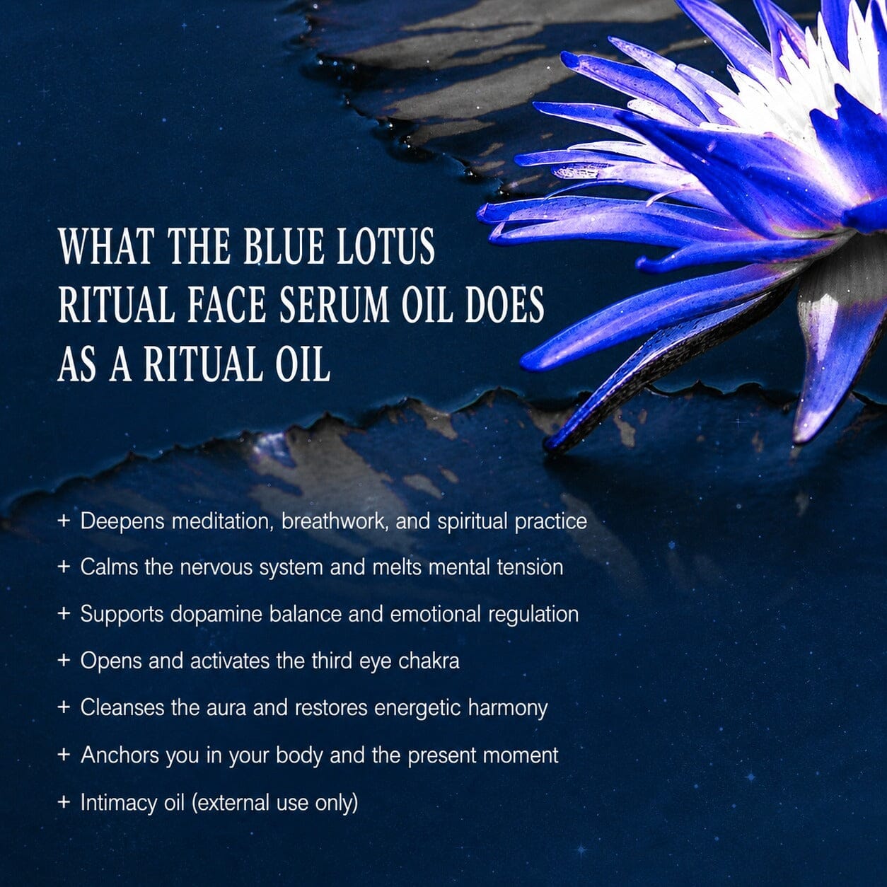 Blue Lotus Ritual Face Oil | Sacred Egyptian Elixir for Glow & Spiritual Awakening 🩵🌿 Spirit Nest