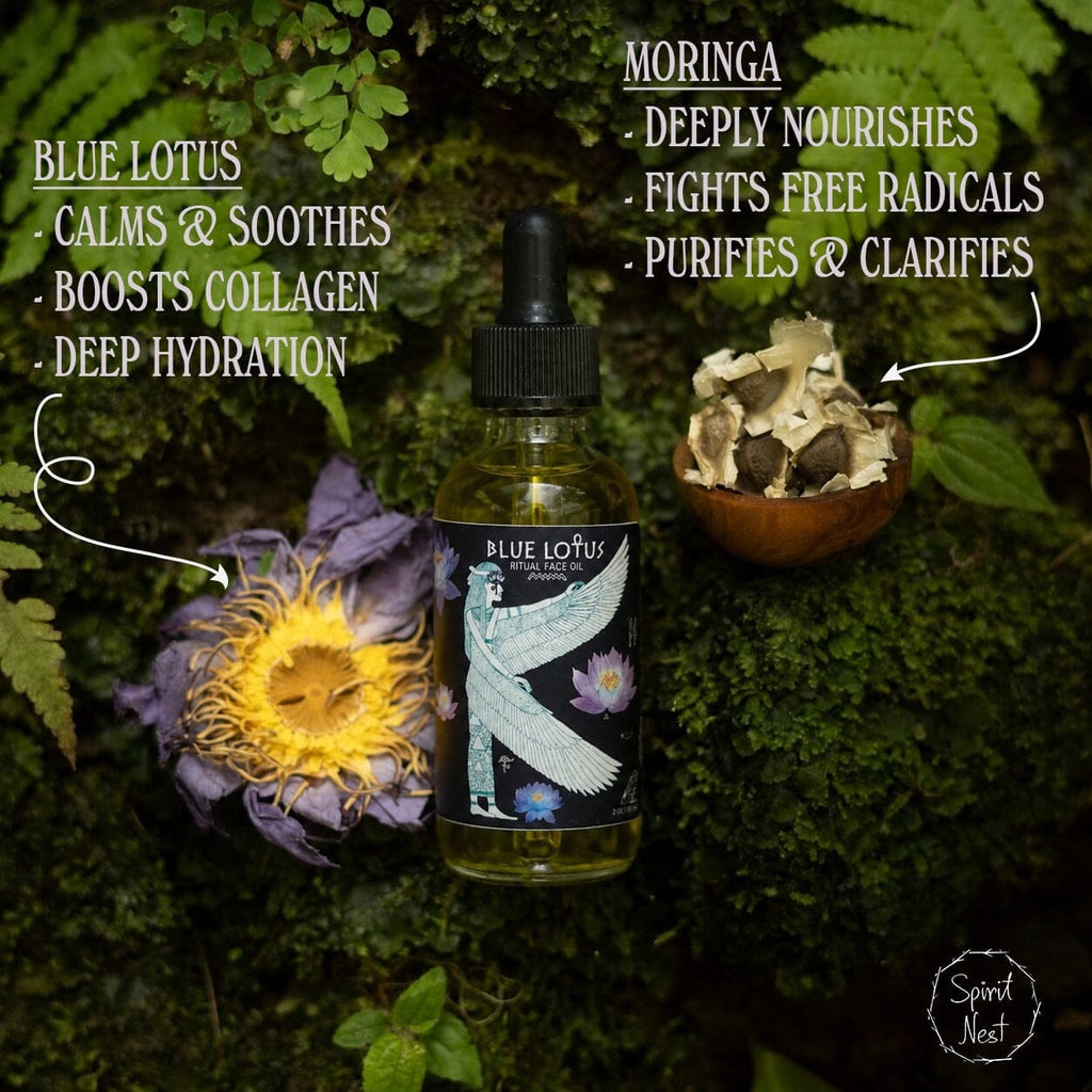 Blue Lotus Ritual Face Oil | Sacred Egyptian Elixir for Glow & Spiritual Awakening 🩵🌿 Spirit Nest