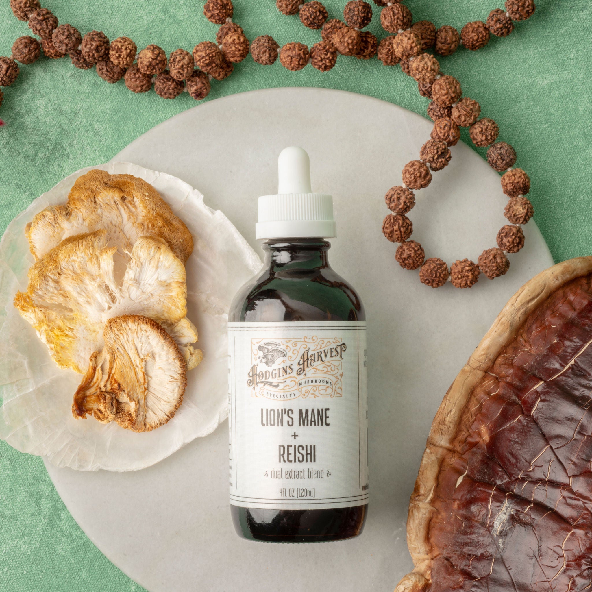 Lion's Mane + Reishi Dual Extract Tincture Hodgins Harvest